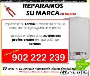 Reparacion de Termos THERMOR en Madrid 914 280 907
