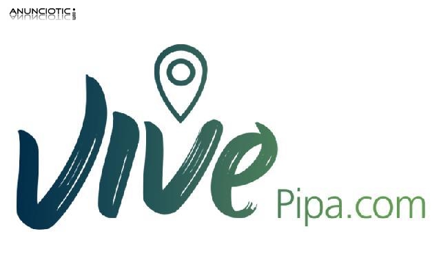 VivePipa - Playa de Pipa Brasil