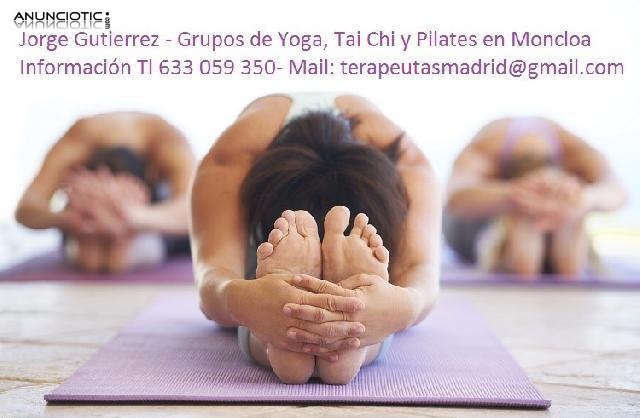 Grupos de Tai Chi, Yoga y Pilates en Moncloa (Madrid)