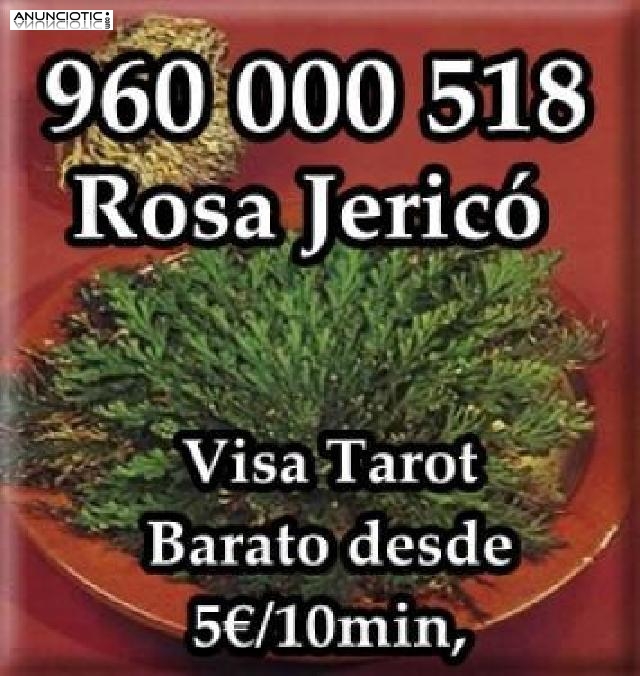 Tarot Visa económico 5/10min  ROSA DE JERICO 960 000 518