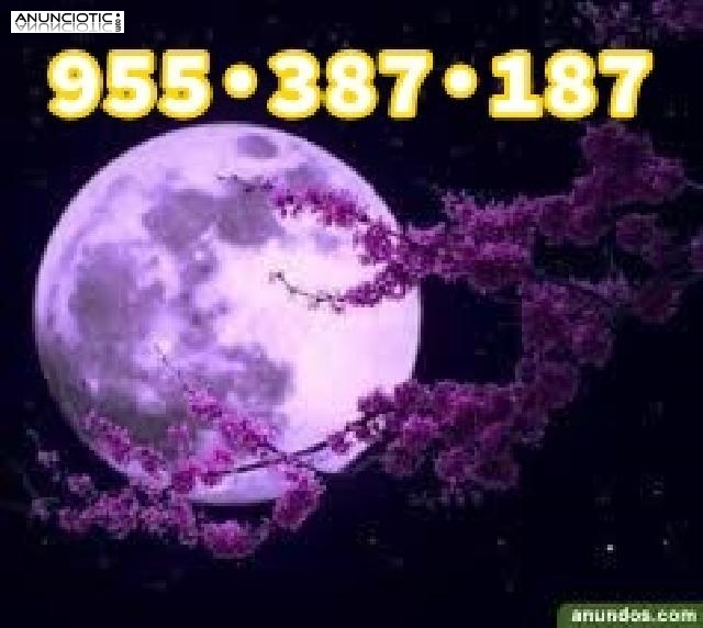 Medium,vidente real 8.5� 30min