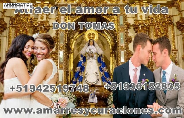 Eliminacion y Destrucci&oacute;n de Amarres