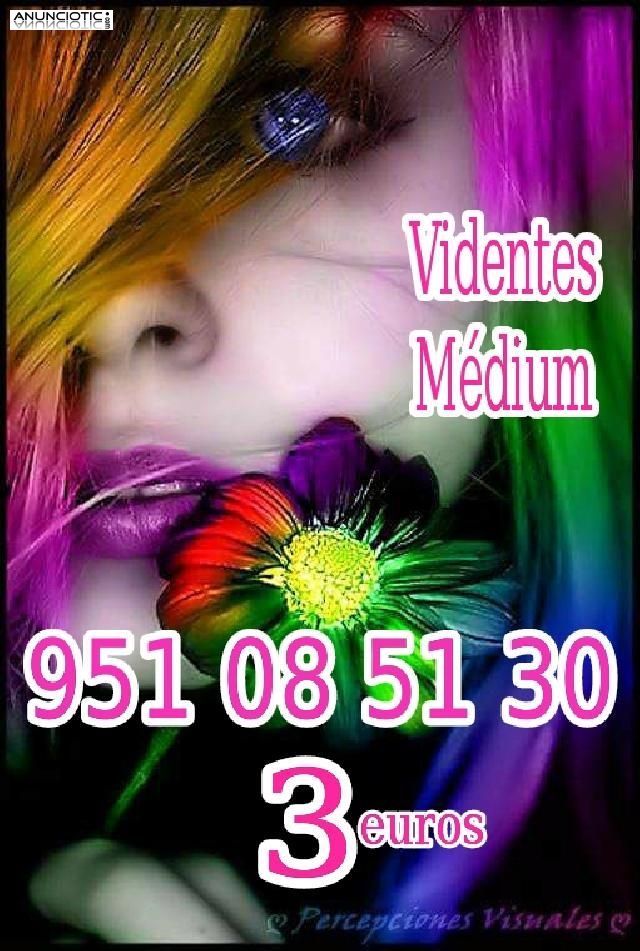 VIDENTES 100% FIABLES CERTERO Y ECON&Oacute;MICO 3 EUROS 