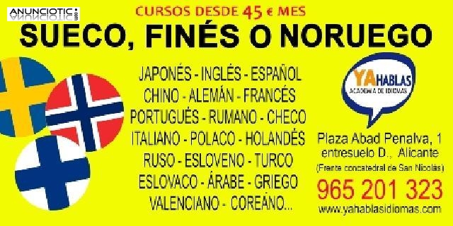 Cursos de sueco, fin&eacute;s, noruego, japon&eacute;s, chino, coreano y mucho m&aacute;s.