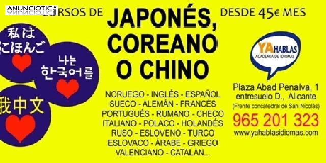 Cursos de sueco, fin&eacute;s, noruego, japon&eacute;s, chino, coreano y mucho m&aacute;s.