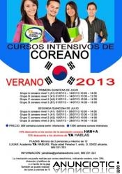 Cursos intensivos de verano- noruego, coreano e ingl&eacute;s