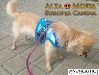 Arnes Perros Peque&Atilde;&plusmn;os, diferentes modelos