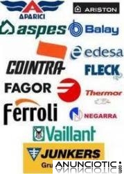 Reparaci&oacute;n de Termos El&eacute;ctricos Alicante.966280956