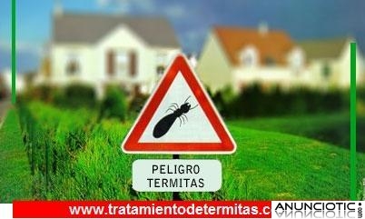 Expertos en eliminar Termitas en Alicante, Denia, Torrevieja, Elche, Javea