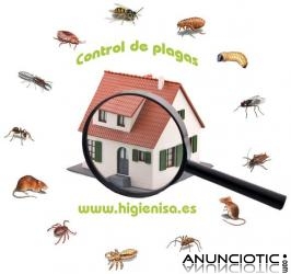 Eliminar Hormigas, Desinsectacion Hormigas, Fumigar Hormigas. Alicante, Denia, Elche, Torrevieja