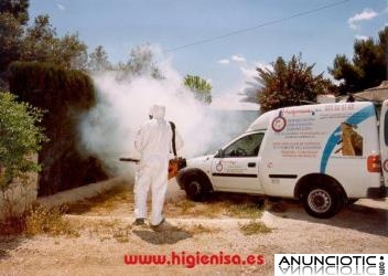 Eliminar Hormigas, Desinsectacion Hormigas, Fumigar Hormigas. Alicante, Denia, Elche, Torrevieja