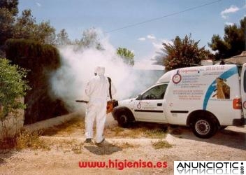 Eliminar Hormigas, Desinsectacion Hormigas, Fumigar Hormigas. Alicante, Denia, Elche, Torrevieja
