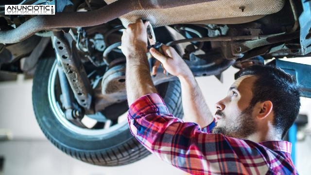 Todo lo necesario para tu autom&oacute;vil.  