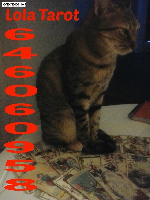 TE GU&Iacute;O CON MI TAROT PARA QUE NO TROPIECES