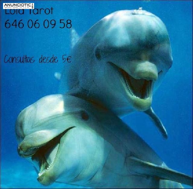 TAROT M&Aacute;S QUE ECON&Oacute;MICO