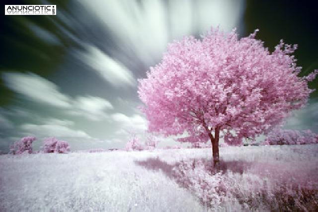 &iquest;tienes dudas consulta tarot