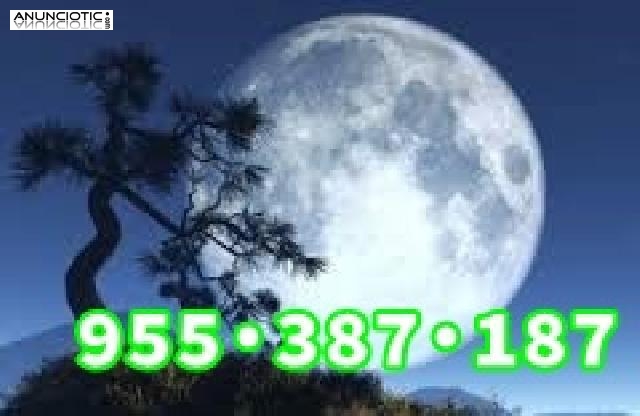 Medium,vidente real 8.5� 30min