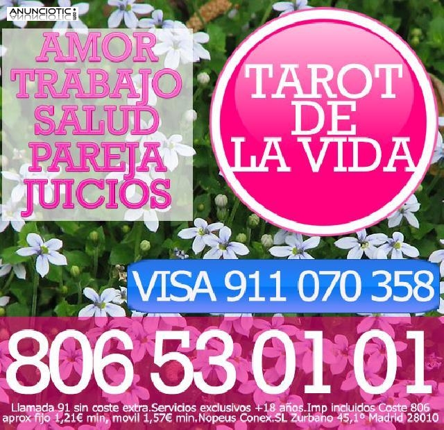 CONSULTAS R&Aacute;PIDAS Y DIRECTAS