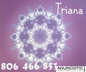 Triana. Vidente desde ni&ntilde;a. No gabinete.