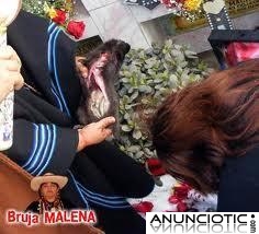MALENA &Uacute;NICA QUE REALIZA AMARRES DE UN D&Iacute;A A OTRO.