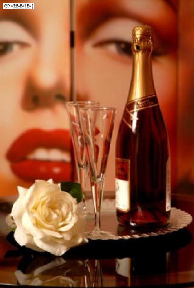 NUEVO CASTING DE SE&Ntilde;ORITAS PARA TRABAJAR EN PISO DE LUJO 