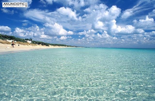 Alquilo apartamentos para vacaciones en la isla de Cerde&ntilde;a, Italia.