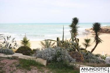 PLAYA LA MATA 1&ordf; LINEA VISTAS AL MAR 82.000 e 