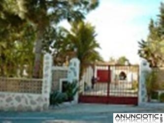 Imposible rebajar m&aacute;s. Precioso Baratito chalet San Vicente del Raspeig