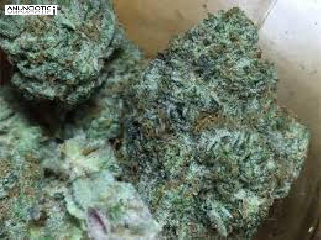 Tenemos productos de las siguientes categor&iacute;as: