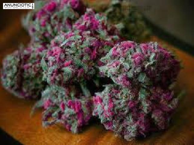 Entrega m&aacute;s r&aacute;pida en cualquier ubicaci&oacute;n de los cristales de Mephedrone MD