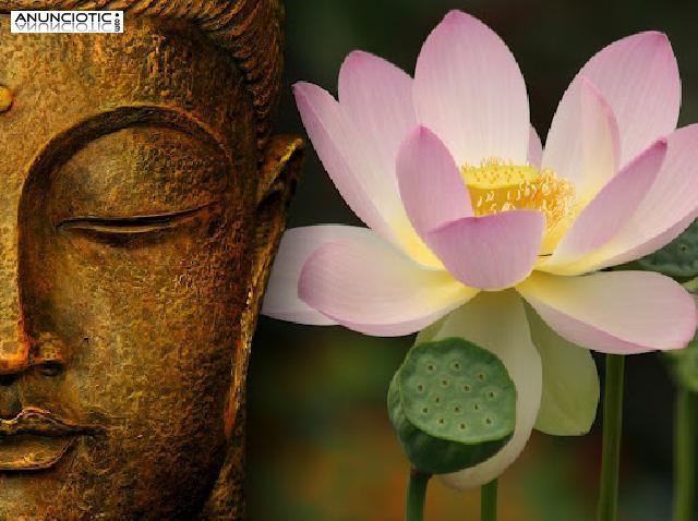 tarot sincero visa 5 � 15 minutos 