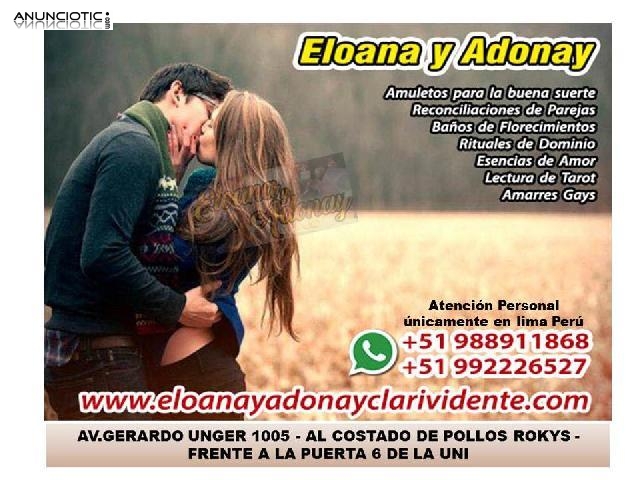 AMARRES GAYS EFECTIVOS Y R&Aacute;PIDOS 