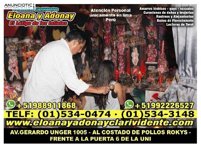 BRUJA ELOANA: LIMPIAR UN NEGOCIO DE ENERG&Iacute;AS NEGATIVAS