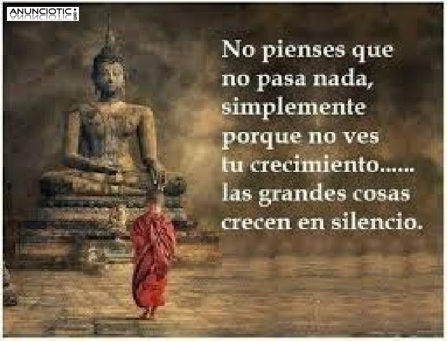 Tarot Del Buda