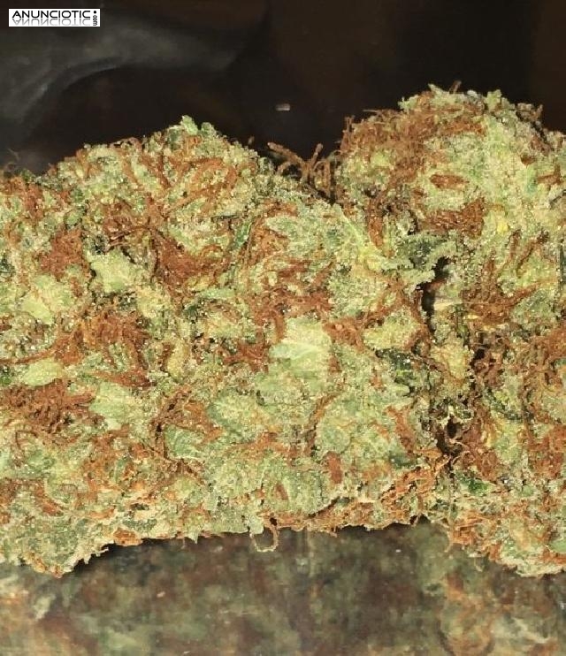 Rubifen y burudanga en promoci&oacute;n *Pastel de cerezas * Blackberry Kush *....