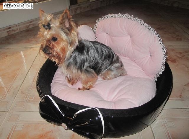 Camas de Dise&ntilde;o para Yorkshires