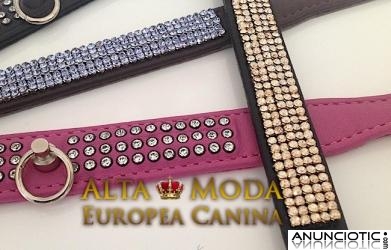 Collares para Perros Peque&Atilde;&plusmn;os. Collares Perros