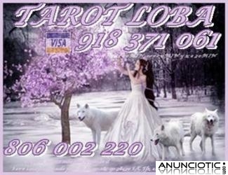 tarot español visa Loba 5 10mtos 918 371 061 on line. Barato 806 002 220 por sólo 0,42 ct