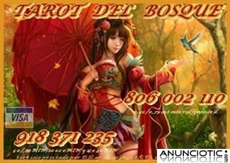 tarot del Bosque 5� 10mtos 918 371 235 on line. Barato 806 002 110 por s&oacute;lo 0,42 ctm mto.