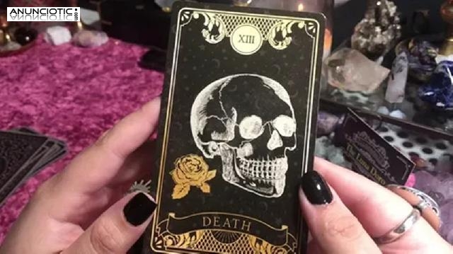 So&ntilde;ar Con Gusanos De Basura, Tarot Exacto Del Amor