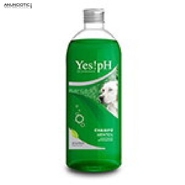 Yes!pH Champ&uacute; mentol coadyuvante antiparasitario para perros