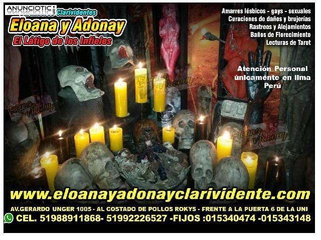 VIDENTES M&Iacute;STICOS RESUELVE CASOS DIF&Iacute;CILES Poseen alta magia para soluciona