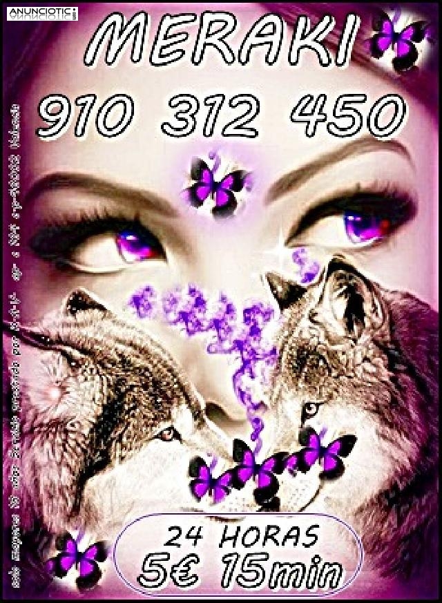 &iquest;C&oacute;mo ir&aacute;n mis problemas de trabajo? 910 312 450 Promoci&oacute;n Visa  5 � 15 min