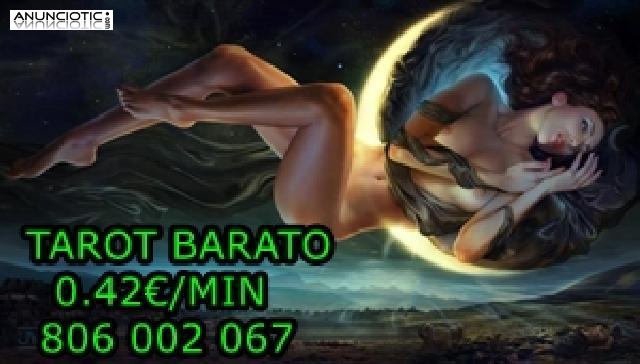 Tarot barato bueno videncia 0.42� ROSALIA 806 002 067 
