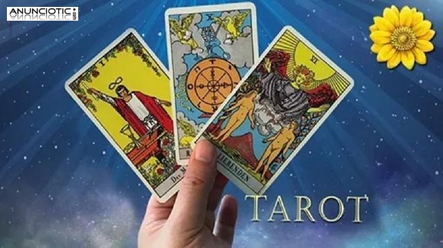 Significado De So&ntilde;ar Con Encontrar Dinero, Tarot Completo Amor