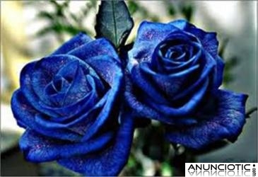 PORQUE ME IMPORTAS, TE QUIERO AYUDAR 