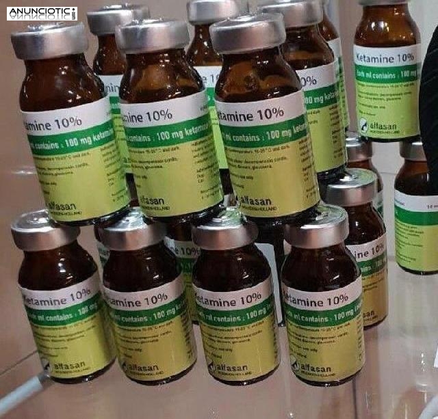 Compre pastillas analg&eacute;sicas, Nembutal, Seconal, Oxycotin, Dilaud