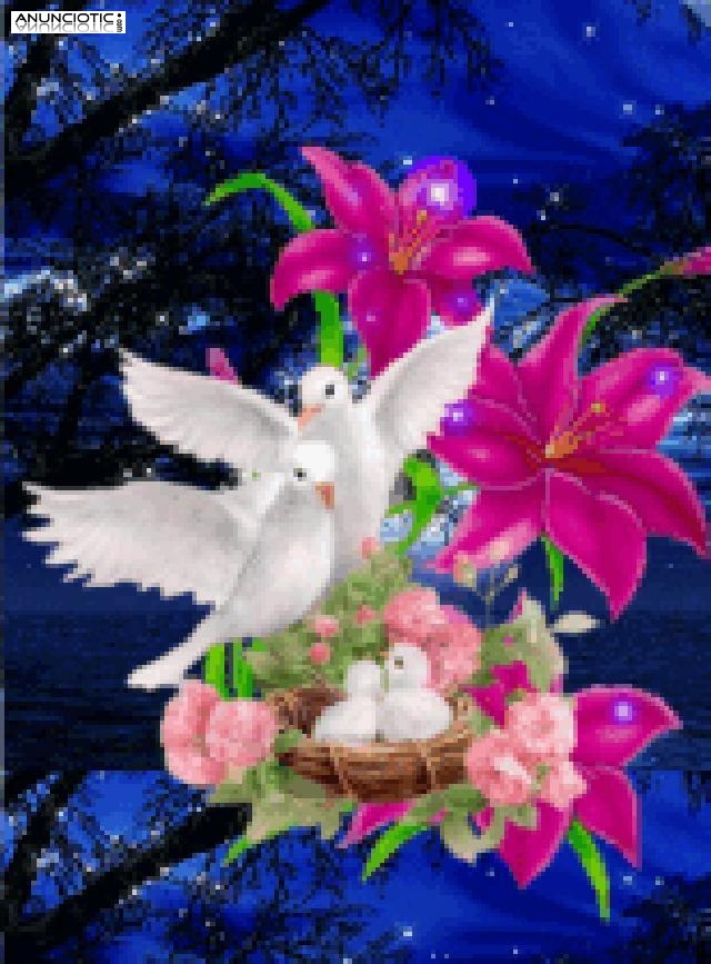 EL MEJOR TAROT 806002149 Tarot Econ&oacute;mico: 0,42� Por Min 