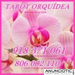 TAROT  ECON&Oacute;MICO ORQU&Iacute;DEA VISA 918 371 061  DESDE 5� 10 MTOS. 806  002 110 BARATO S&Oacute;LO 0,4