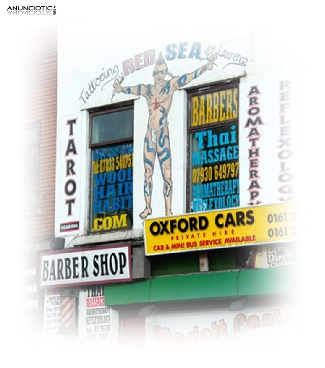 &iquest;Cu&aacute;l es el significado si sue&ntilde;as con Lobos Blancos, Tarot Para Cancer En El Amor